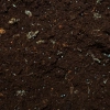 Tropical Substrate Soil - podłoże tropikalne do terrarium 5L